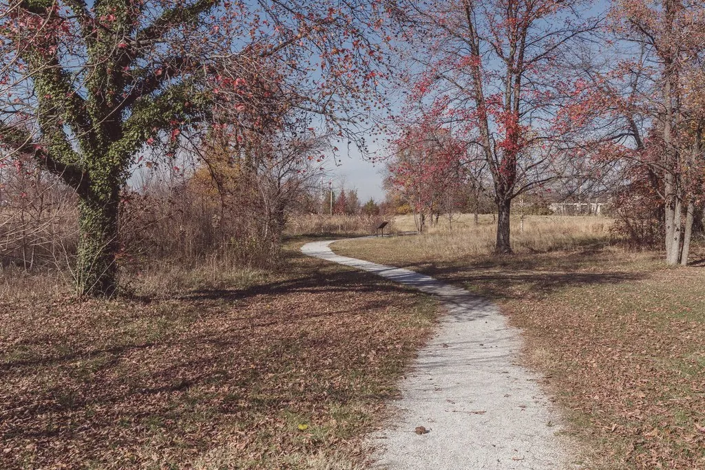 The Bear Creek trail in autumn, Dundalk